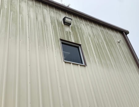 The Hidden Damage Caused by Mold and Algae on Texas Homes